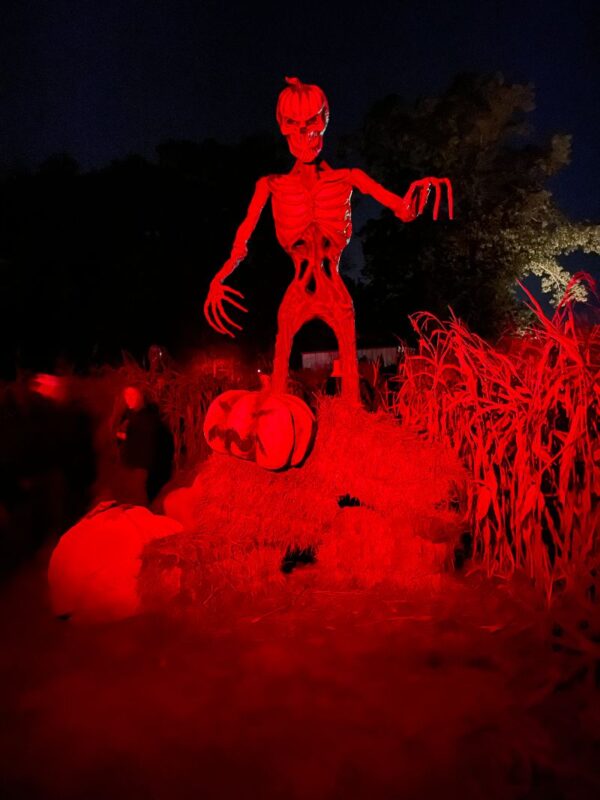 Total Terror Haunted Attraction 2025 - 1dea5d5bbf774ff8b8eaaee23e32a9aa