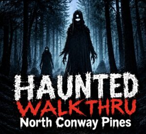 Haunted Walkthrough logo