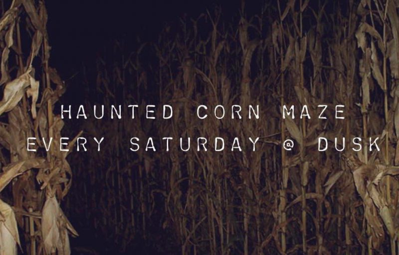 Skinny Bones Haunted Corn Maze Nebraska Haunts The Scare Factor