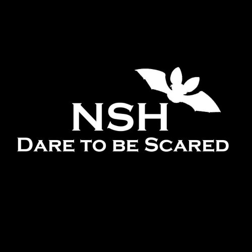 The Nickerson Snead Haunted Mansion Logo The Nickerson Snead Haunted Mansion Logo