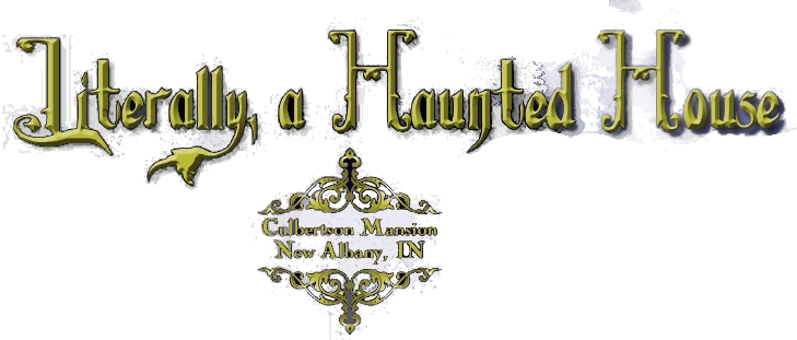 Literally A Haunted House at Culbertson Mansion Review