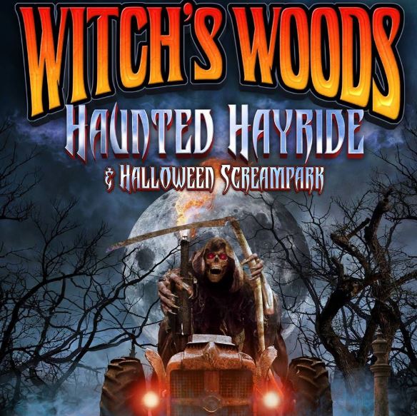 Witchs Woods Review